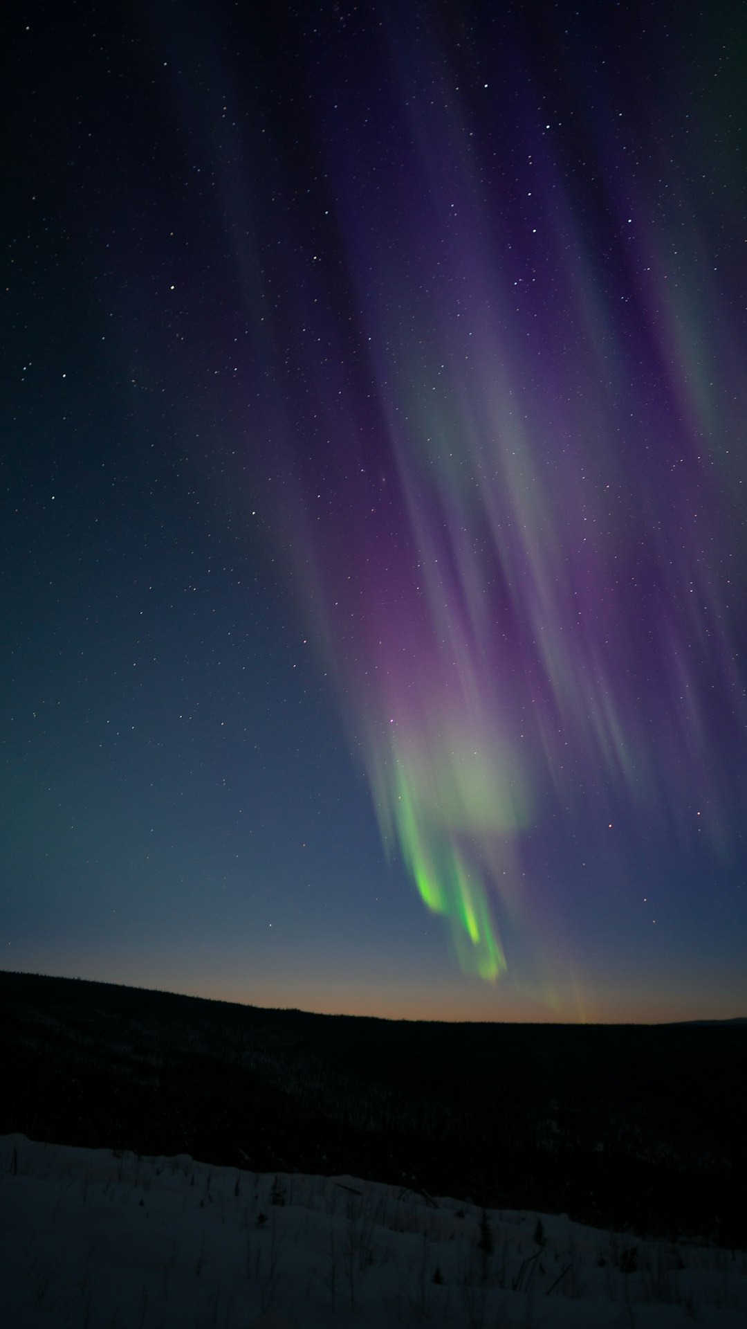 Aurora borealis — purple and green northern lights cascading across the Arctic night sky over a dark horizon.